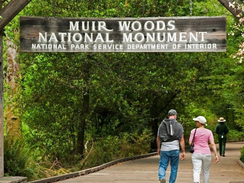 Muir Woods Express with Golden Gate Bridge Visit