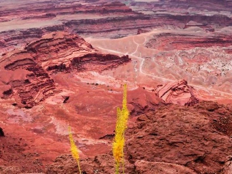 Canyonlands National Park Backcountry 4×4 Adventure from Moab