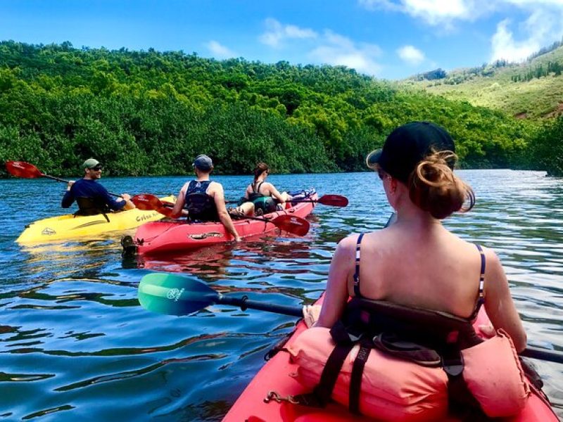 Wailua River and Secret Falls Kayak and Hiking Tour on Kauai