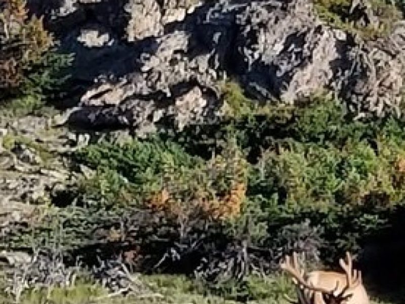 Private Three Hour Afternoon Custom Tour of Rocky Mountain National Park