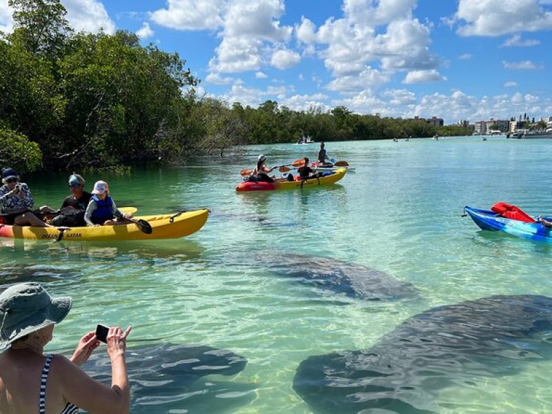 Guided Island Eco Tour – CLEAR or Standard Kayak or Board