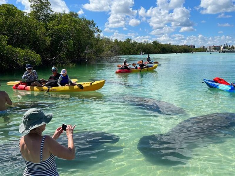 Self-Guided Island Tour – CLEAR or Standard Kayak or Board – Bonita Springs