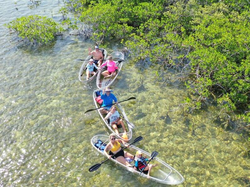 Guided Clear Kayak Eco-Tour Near Key West