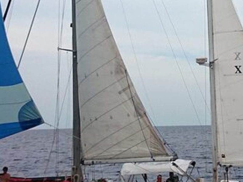 3 Hour Sailing Tour of Vineyard Haven Harbor and Sound