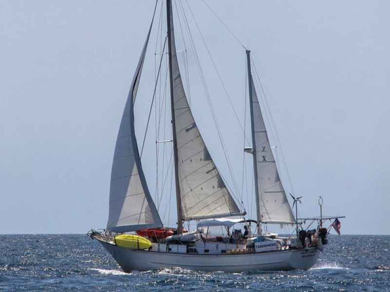 4 Hour Sailing Tour of Vineyard Haven Harbor and Sound