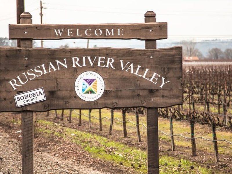 6-Hours Customized Private RUSSIAN RIVER Valley Wine Tour From San Francisco Bay