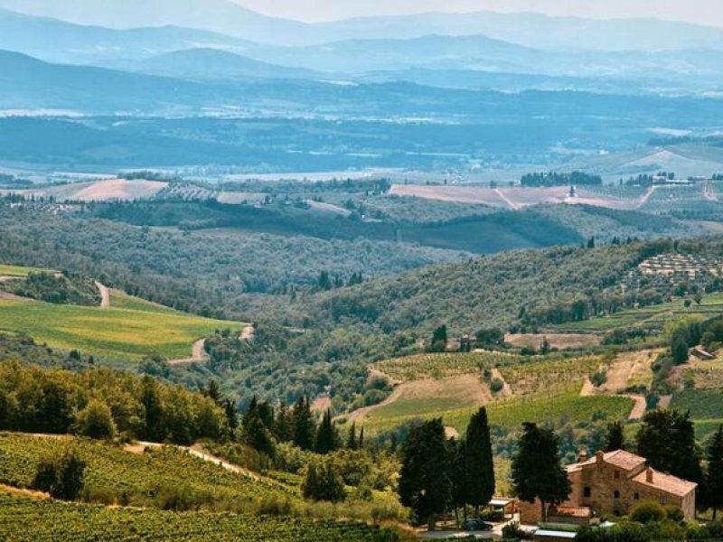 Airplane Napa Valley Flight Tour