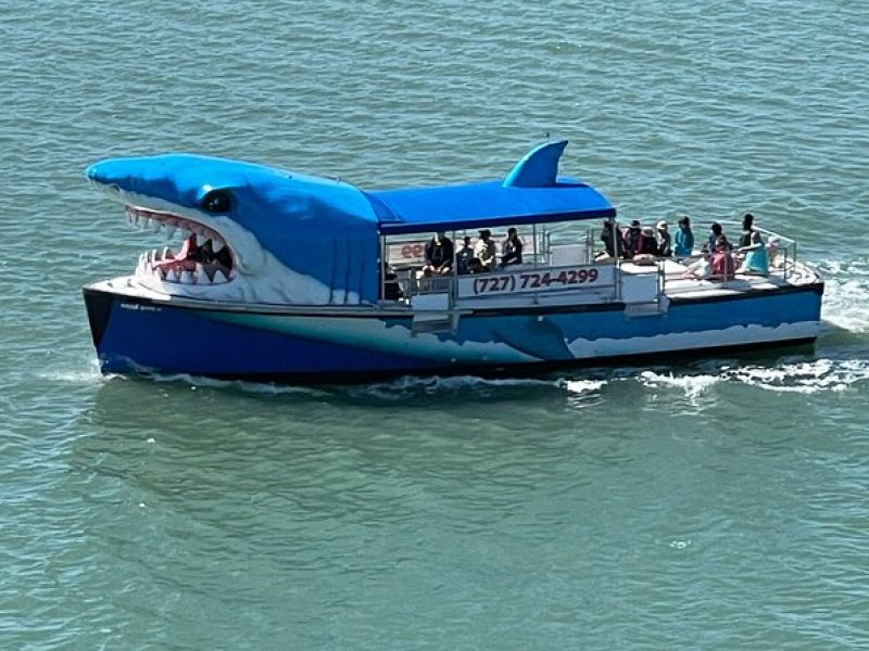 Mega Bite Dolphin Tour Boat in Clearwater Beach