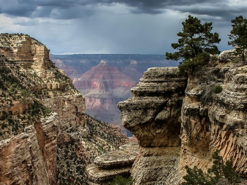 Grand Canyon South Rim Day Trip from Flagstaff