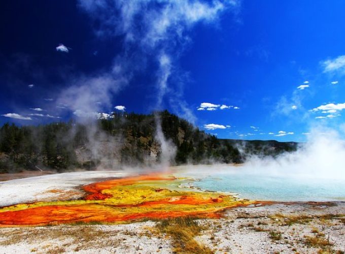 Yellowstone Private Lower Loop Adventure with Lunch