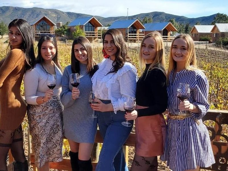 Valle de Guadalupe Wine Tour