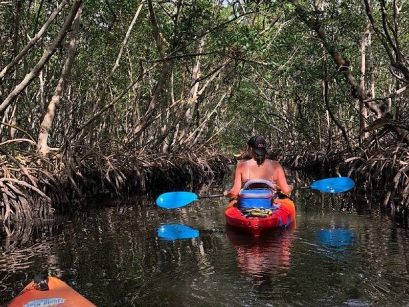 Mangrove Tunnels Pedal Kayak Eco-Tour in Anna Maria