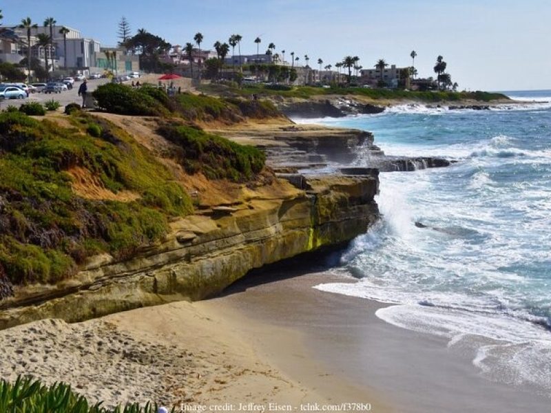 Discover San Diego's Beaches: Private Driving Tour