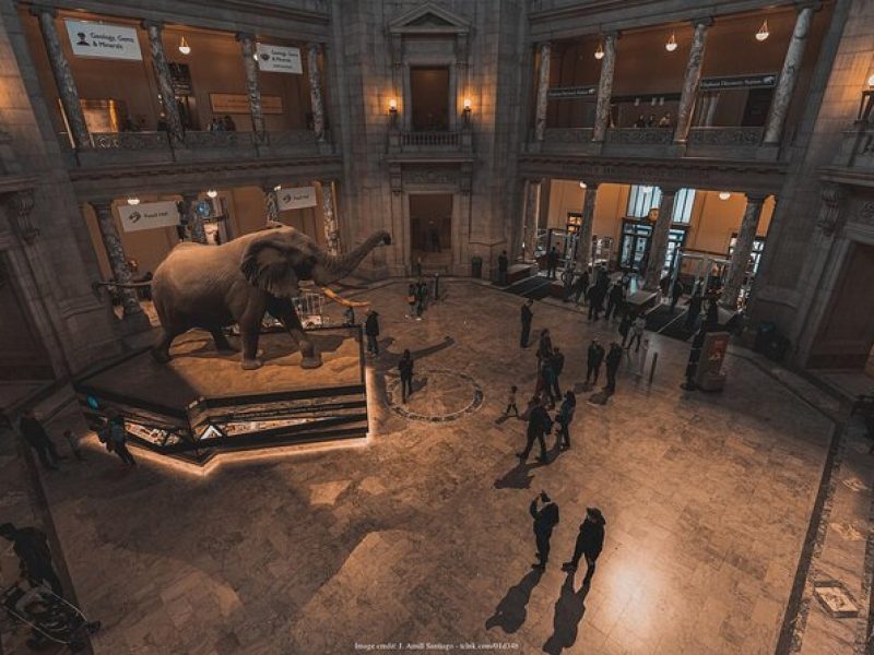 Two Smithsonian Museums: American & Natural History Private Tour