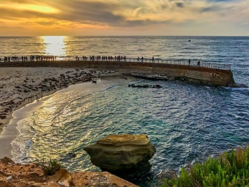 Ultimate La Jolla Self-Guided Combo Tour