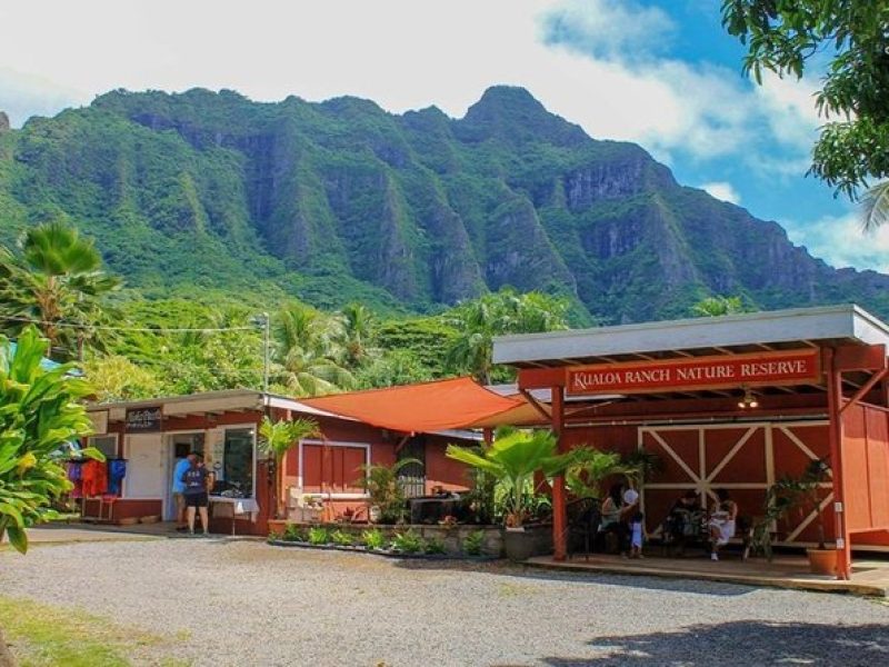 Oahu: North Shore & Dole Plantation Island Discover Tour