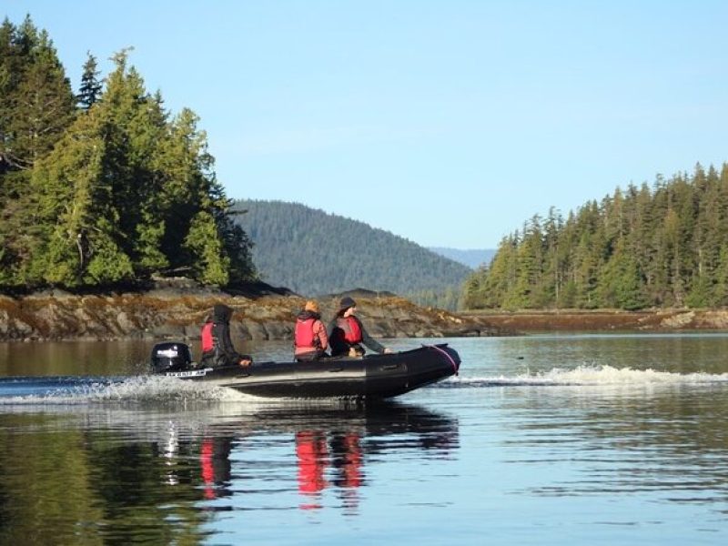 Alaska Marine Fast Boat Adventure