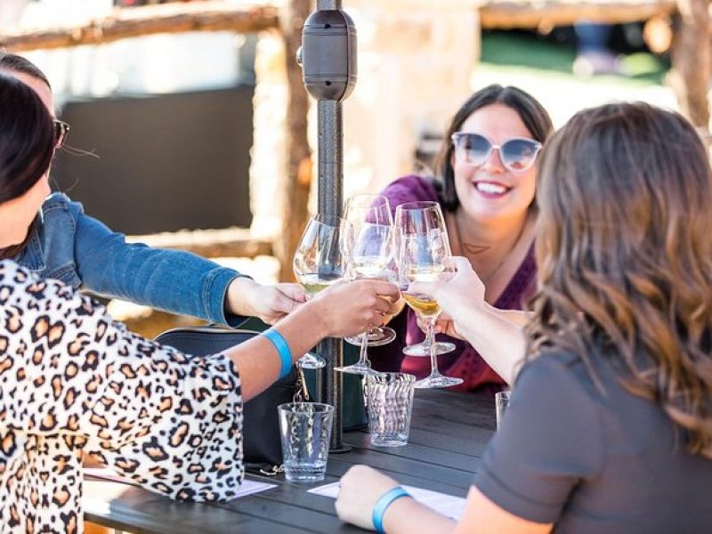 Half-Day Guided Tour of North Texas Wineries and Vineyards with Wine Tastings