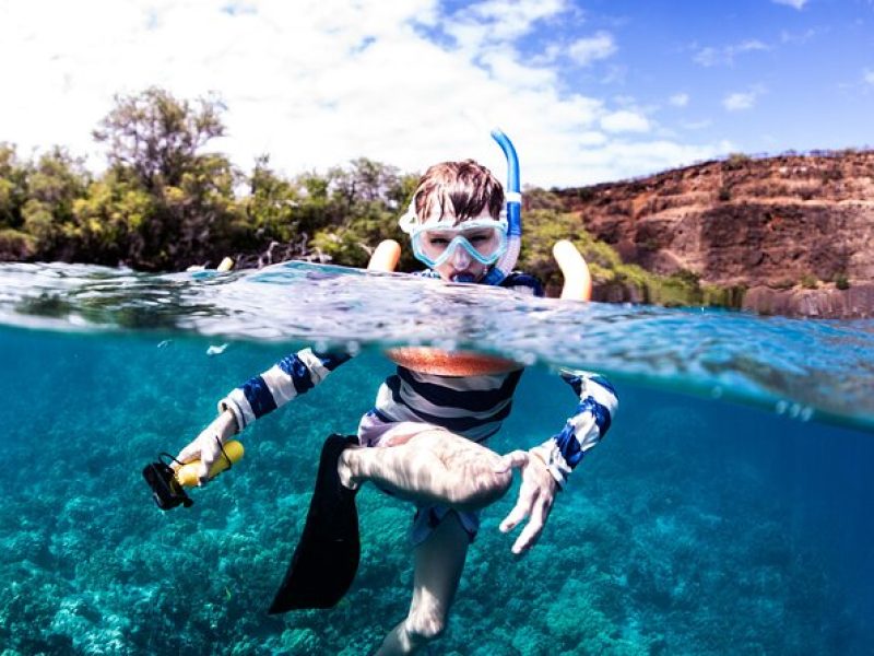 Kaimana Kealakekua Bay (Capt. Cook) Adventure