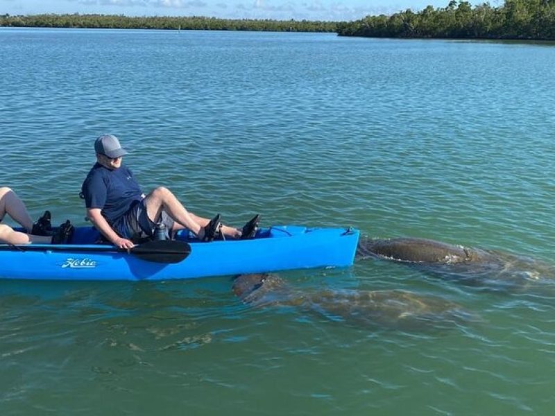 Kayak Tour Adventure Marco Island and Naples Florida