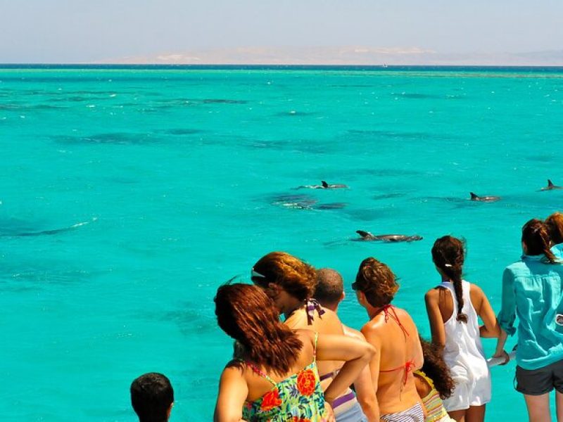 Key West Dolphin & Snorkel Experience