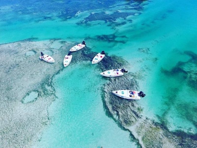 Key West Safari Eco Sandbar Tour Adventure with Snorkeling