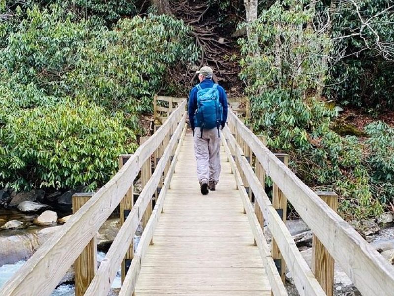 Thundering Streams and Falls of the Smokies Guided Hiking Tour