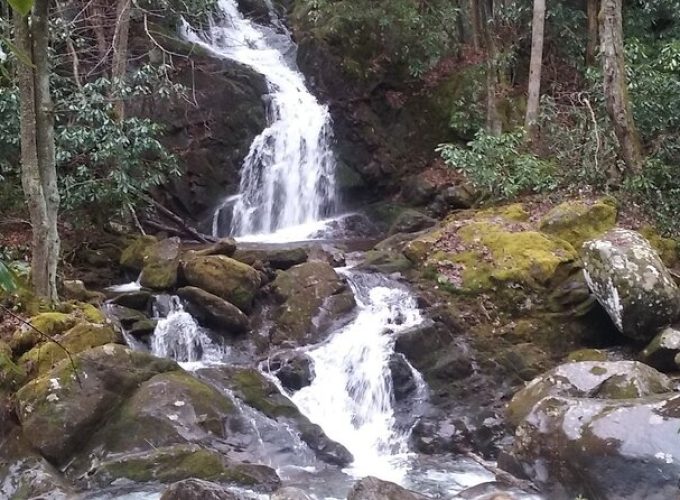 Clear Creek Falls Hike