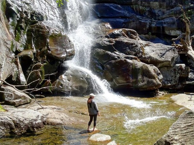 Old Growth Forest Cascade