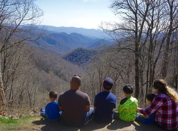 Smoky Mountain Guided Scenic High Van Tour