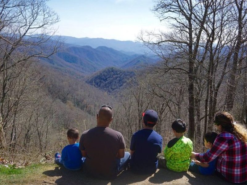 Smoky Mountain Guided Scenic High Van Tour