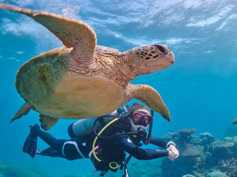 Miami Two Tank Dive Trip