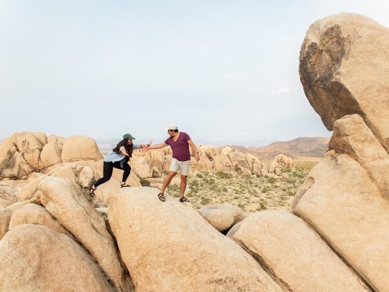 Joshua Tree Full Day Private Tour and Hike