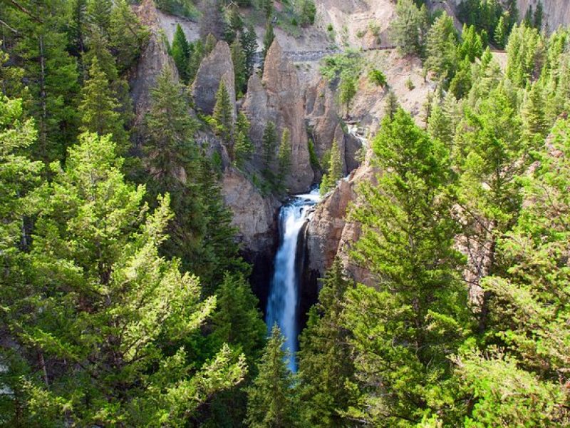 Yellowstone Full Day Private Tour