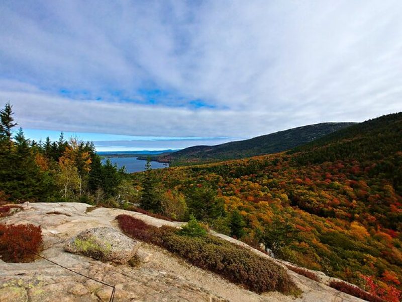 Acadia Full Day Small Group Tour