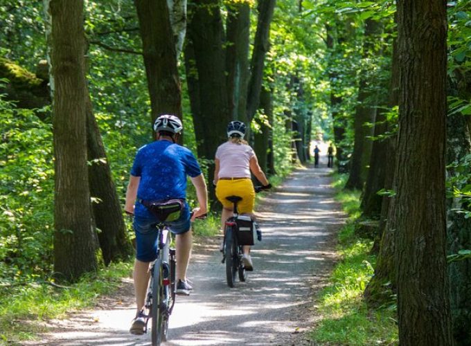 Acadia Half Day Private Bike Tour