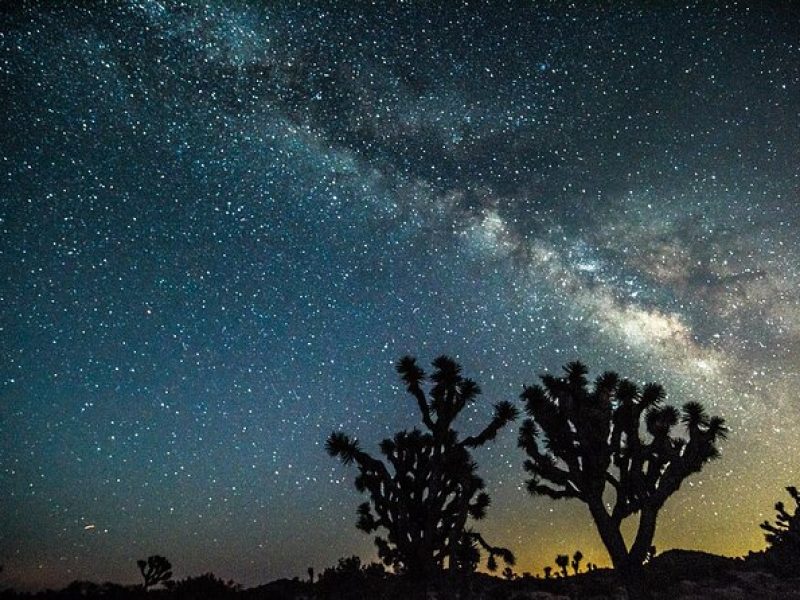 Joshua Tree Private Sunset and Stars Tour