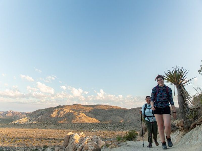 Joshua Tree Small Group Tour and Hike