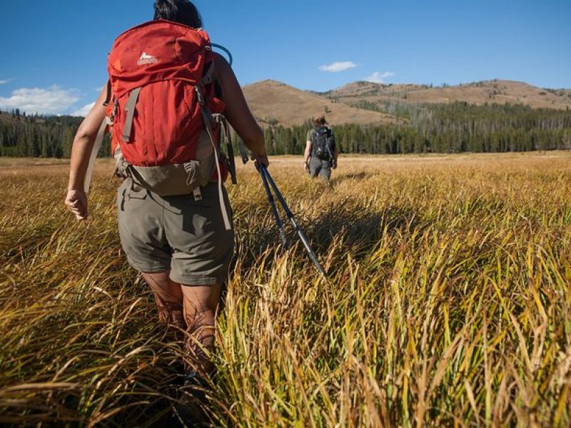 Yellowstone Full Day Private Hike