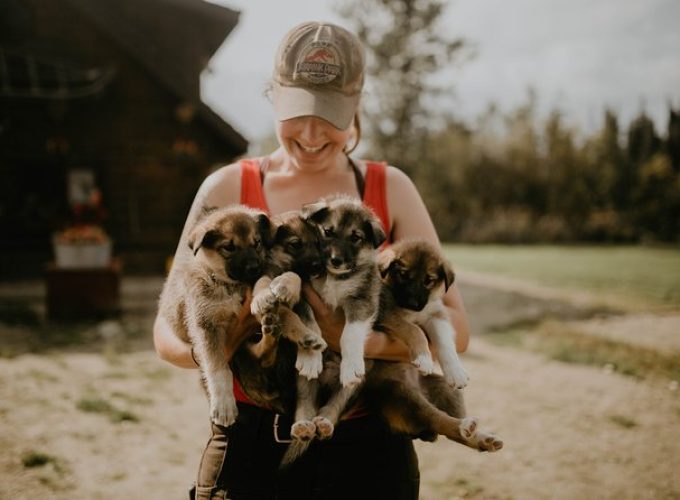 Summer Kennel Visit at Historic Trail Breaker Kennel