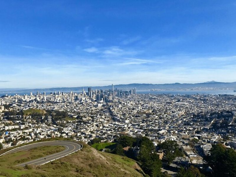 Private San Francisco City Tour and Muir Woods with Sausalito