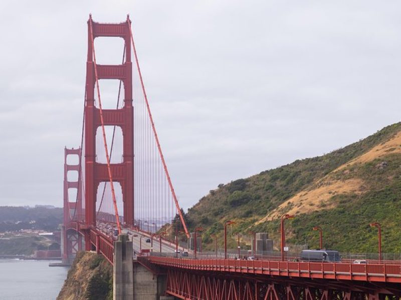 Muir Woods & Sausalito Half-Day Tour (Return by Bus or Ferry from Sausalito)