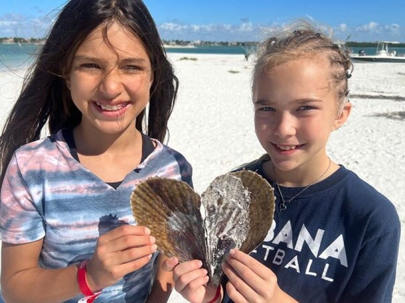 Barrier Island Shelling Tour