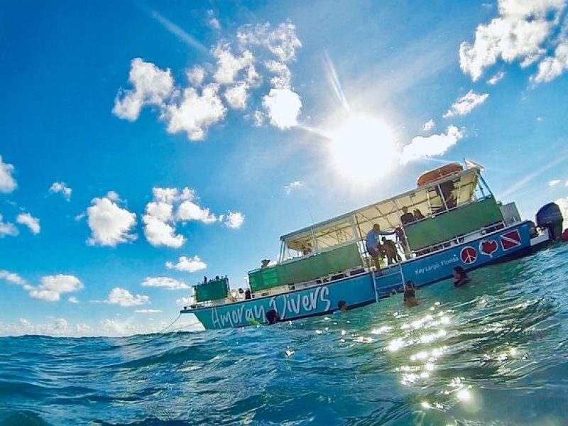 Half-Day Florida Keys Catamaran Snorkel Adventure