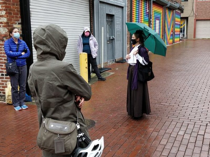 Historic Alleyways Guided Walking Tour of Washington DC