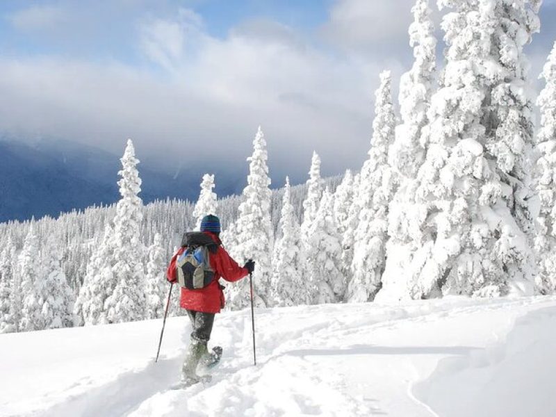 Lake Tahoe Snowshoe Rental Packages