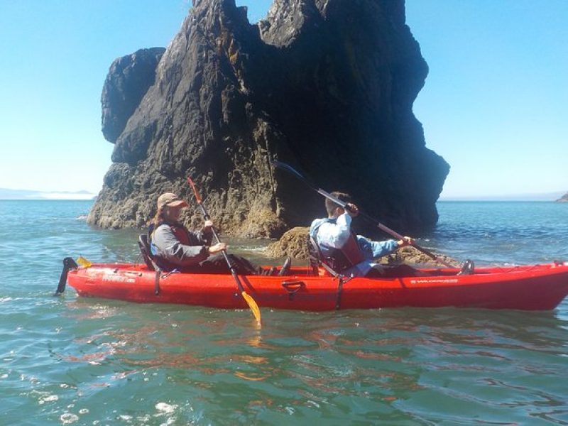 Ocean Kayaking Experience in Brookings