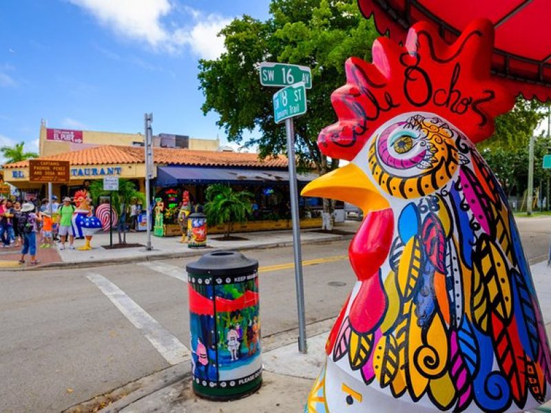 Miami City and Boat Tour Little Havana Included Plus FREE Bike Rental in SoBe