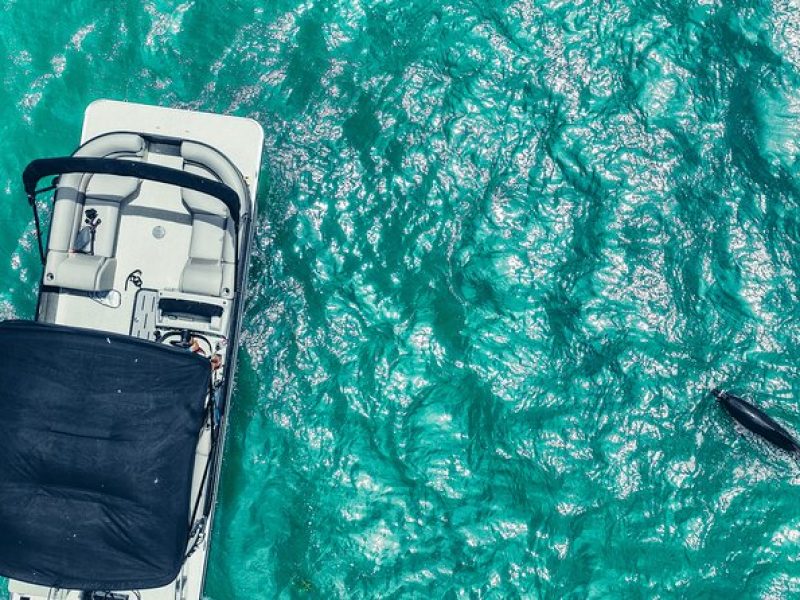 Clearwater Beach Private Pontoon Boat Tours