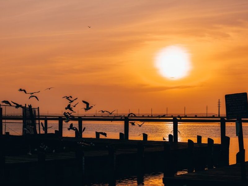 Private Guided Pontoon Boat Sunset Cruise in Chincoteague Island